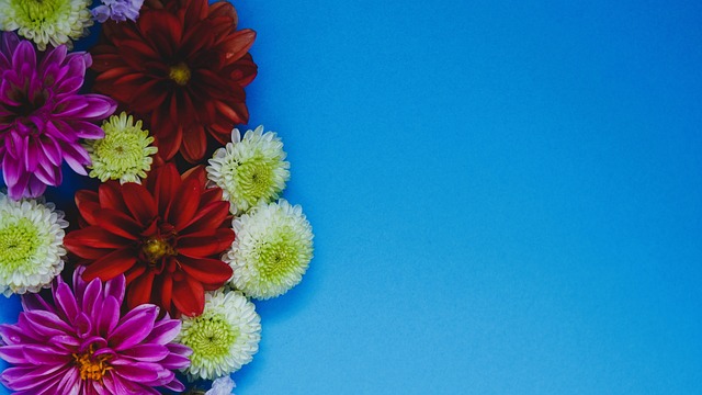 队长年的科 队长年的科