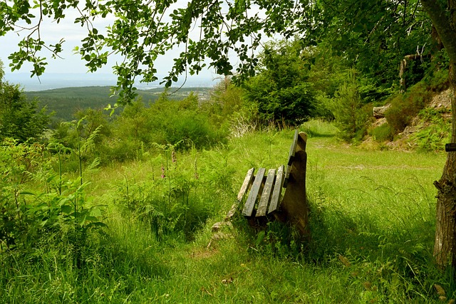 仅体现了各 仅体现了各