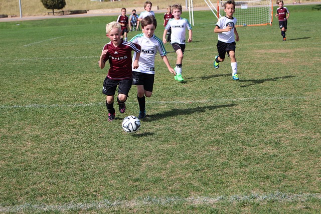 这也说明了 这也说明了