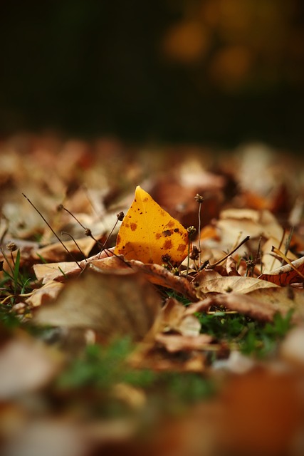 团队运动 团队运动