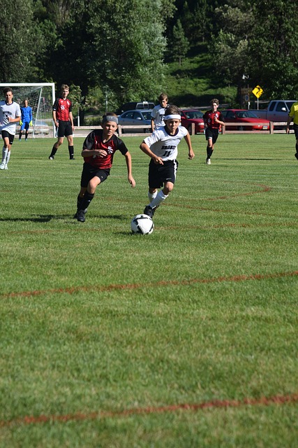 期所扮演的 期所扮演的