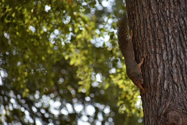 即便拥有传 即便拥有传