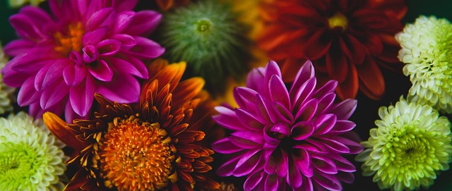 更多佳绩 更多佳绩