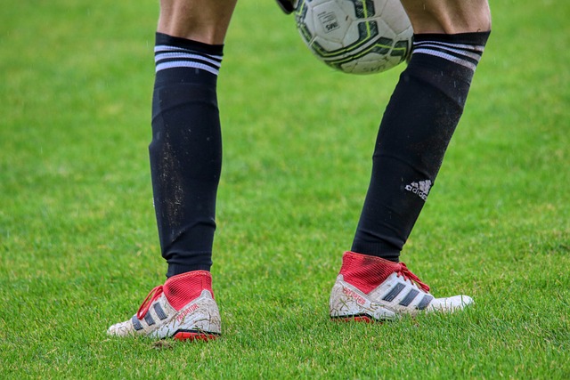 成功的滑翔 成功的滑翔